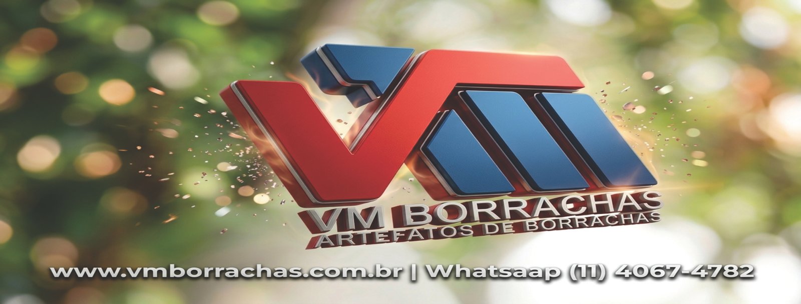 VMBorrachas