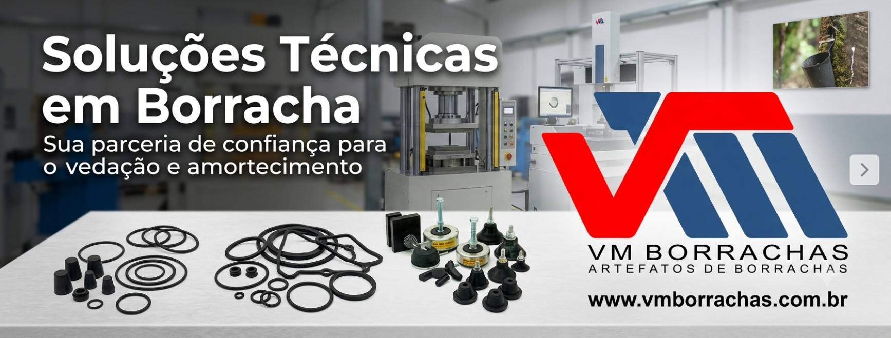 VMBorrachas